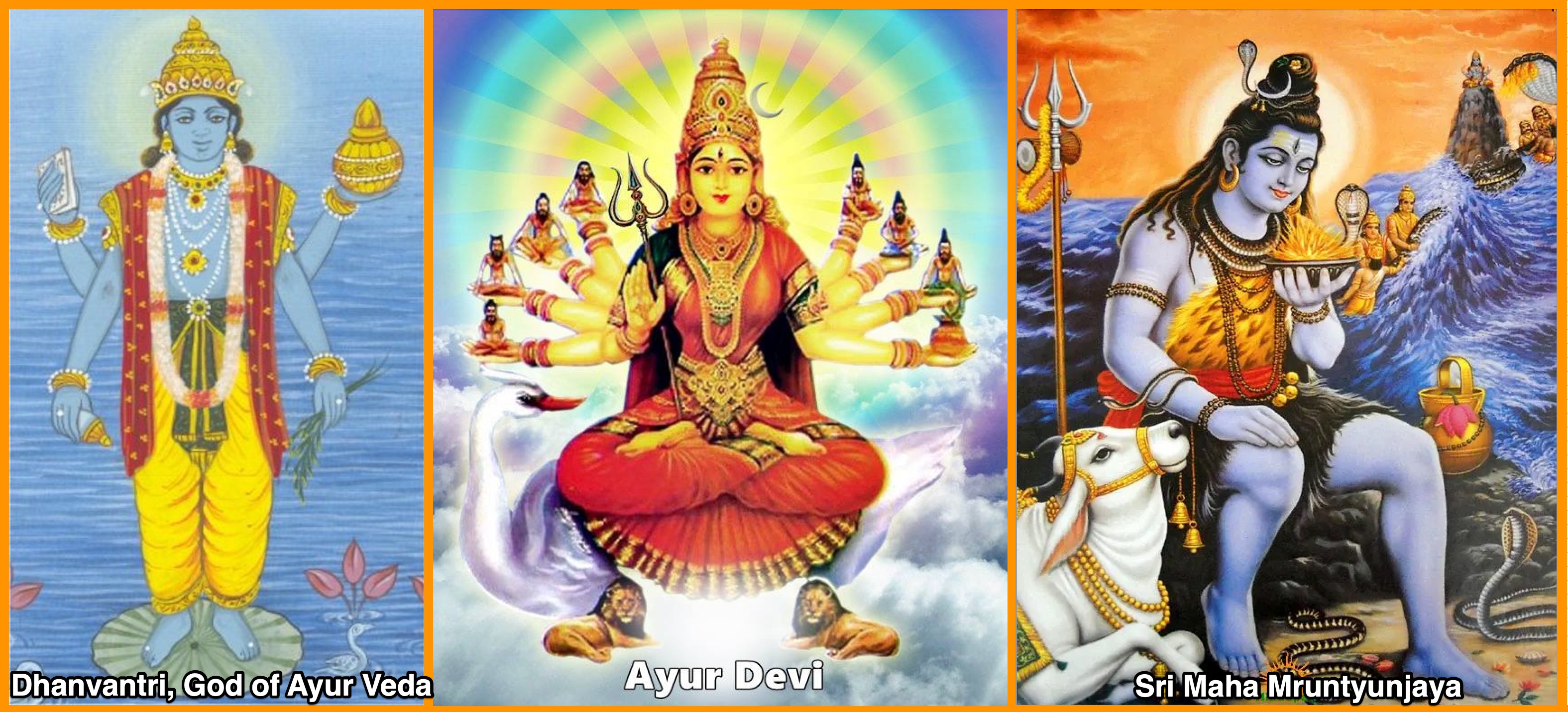 homam & havan